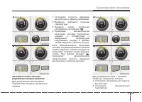 Страница 229