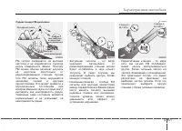 Страница 245