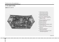 Страница 370