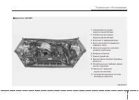 Страница 371