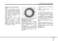 Страница 441