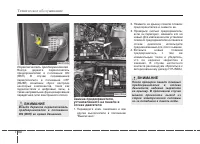 Страница 448