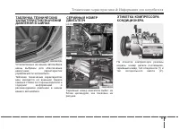 Страница 495