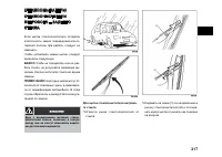 Страница 217