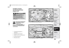 Страница 217
