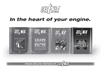 Страница 239