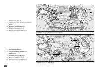 Страница 229