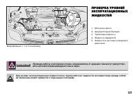 Страница 228