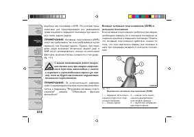 Страница 216