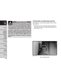 Страница 176