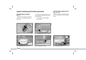 Страница 217