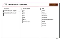 Страница 243