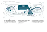 Страница 124