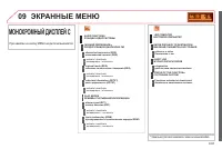 Страница 243