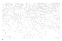 Страница 242