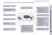 Страница 243