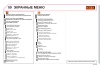 Страница 255