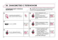 Страница 250