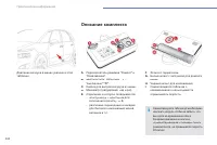 Страница 264