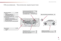 Страница 243