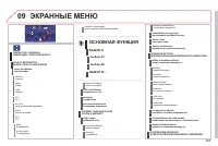 Страница 267