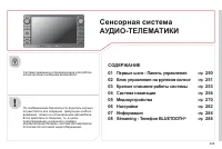 Страница 251