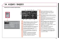 Страница 239