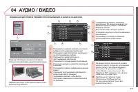Страница 243