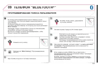 Страница 275