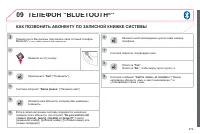 Страница 281