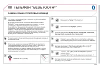 Страница 311