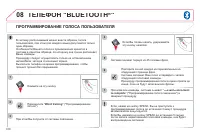 Страница 312