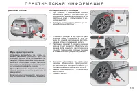 Страница 137