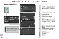 Страница 216