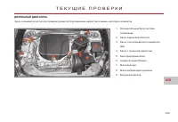 Страница 127