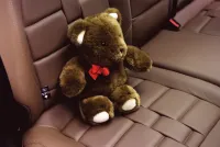 Страница 165