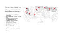 Страница 240