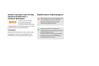 Страница 246