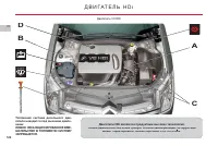 Страница 124