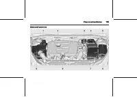 Страница 135