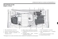 Страница 243