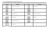 Страница 334