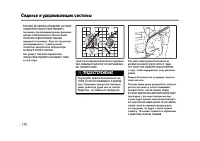 Страница 217