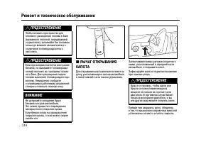 Страница 311