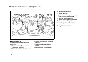 Страница 313