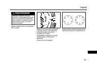 Страница 461
