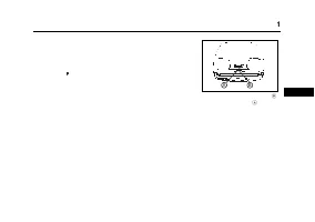 Страница 209