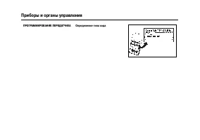 Страница 218