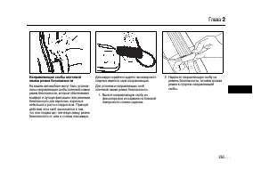 Страница 263