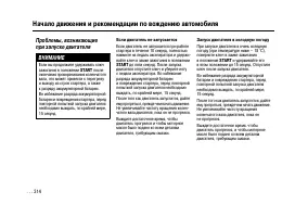 Страница 313